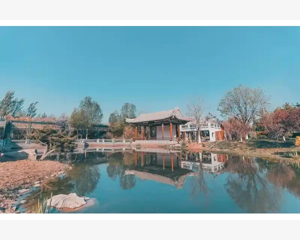 脾胃虚弱吃什么？这些食物让你健康又养胃
